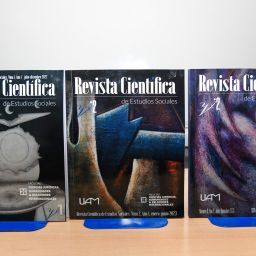 Revista