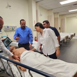 Simulación