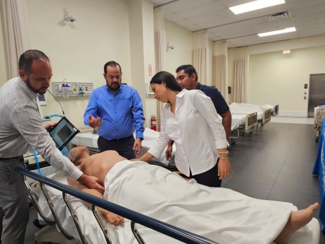 Simulación