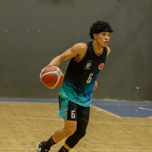 Gallo