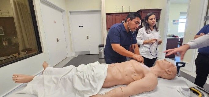 Simulación