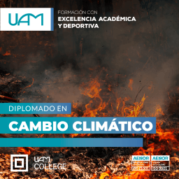Cambio