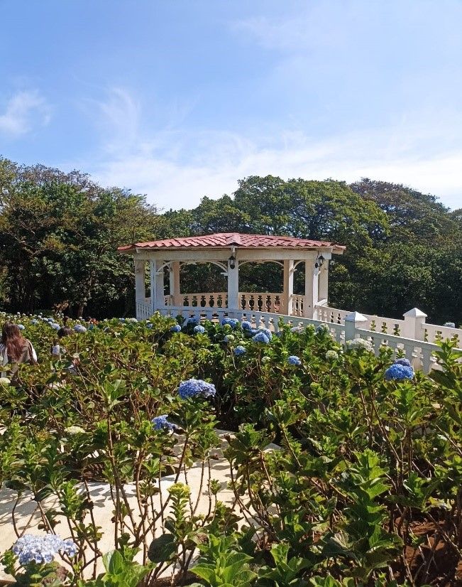 El crucero