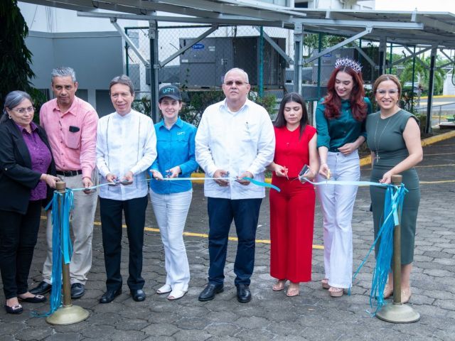 Paneles solares