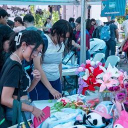 Jaguar Market