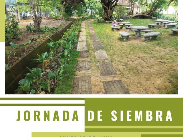 Jornada de siembra
