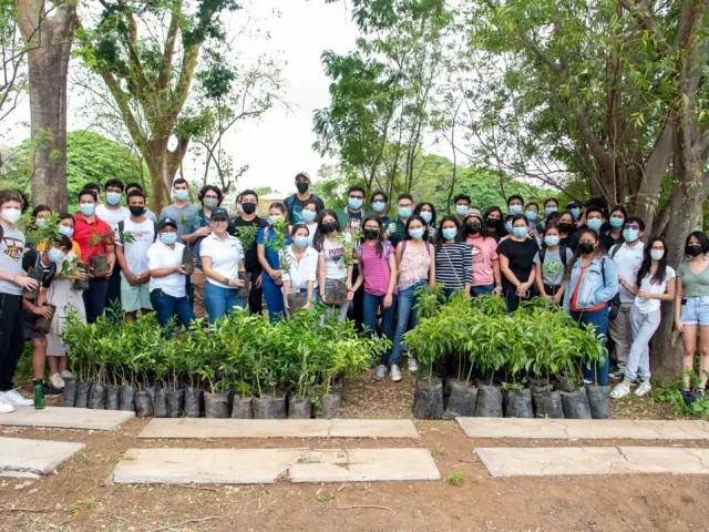 JORNADAS DE REFORESTACIÓN