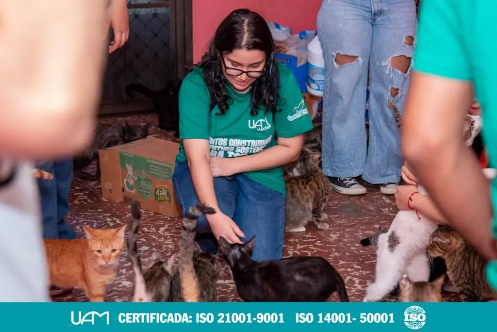 Misión Felina_ UAM3