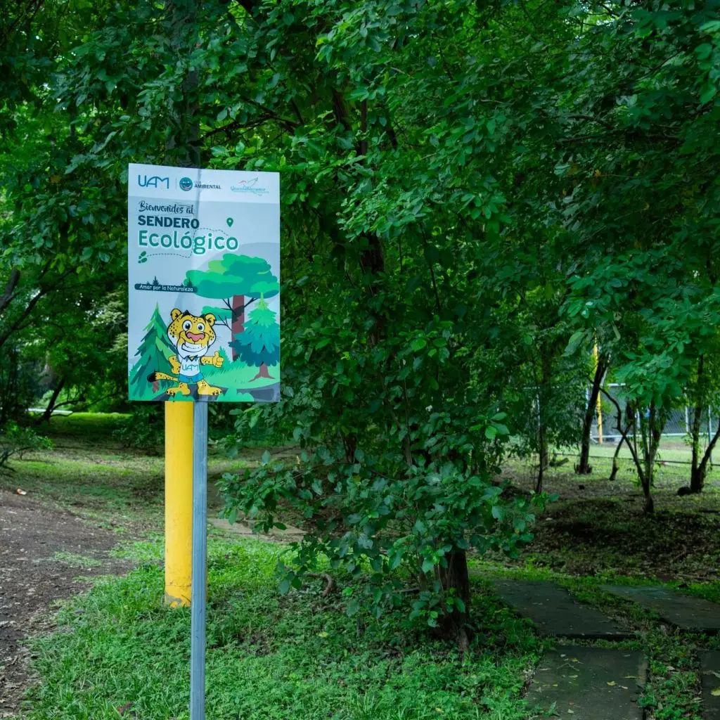 Especies arbóreas