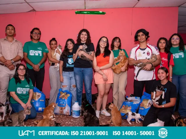 Misión Felina_ UAM