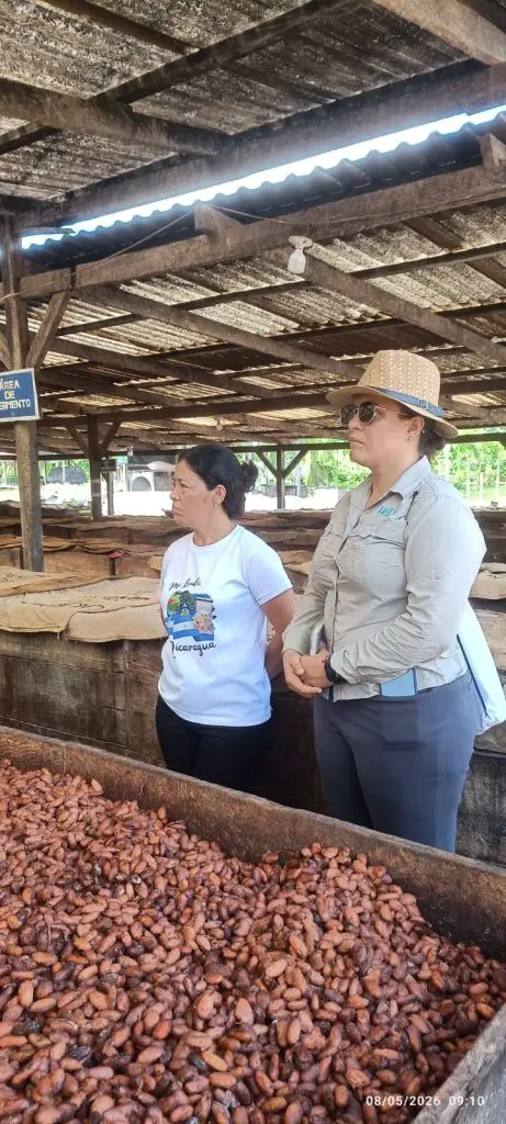 Investigación