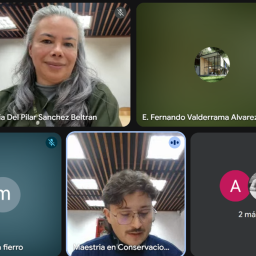 Patrimonio _ UAM